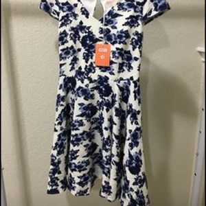 Blue and white flower dress